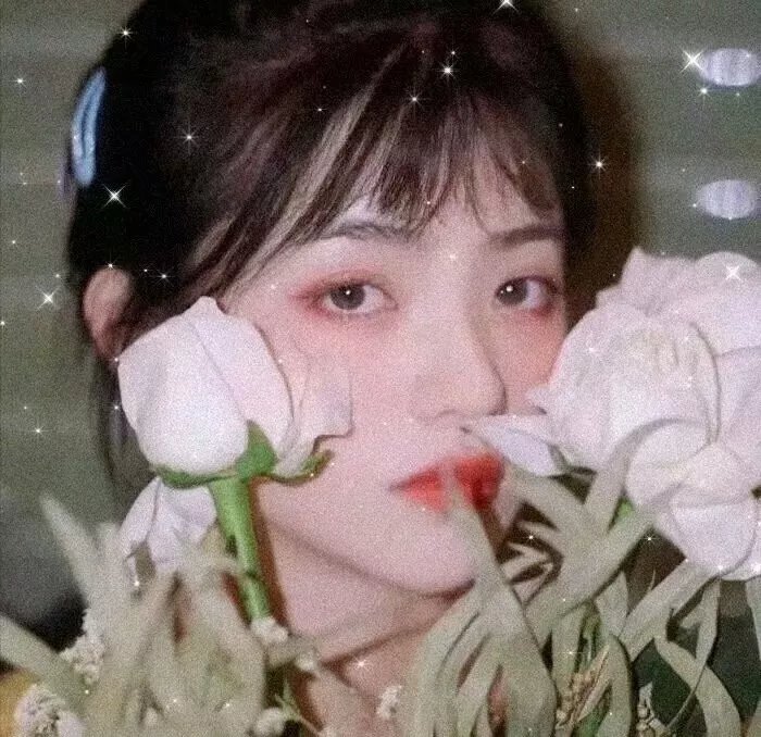 黑欲连环套